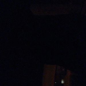 Meet your Posher, Kasey